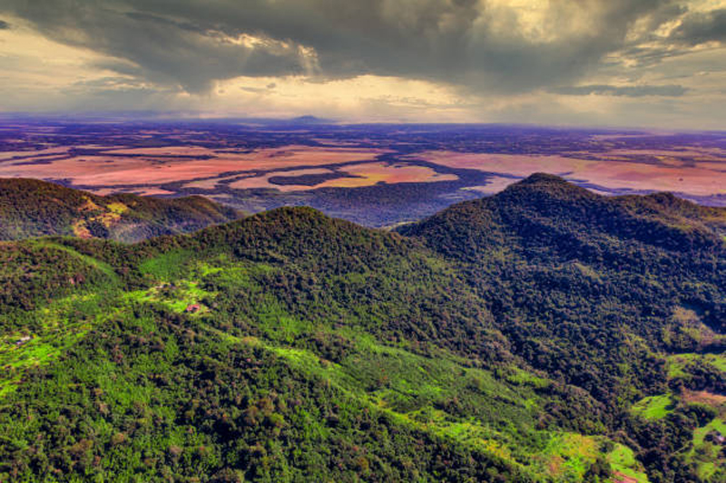 Paraguay