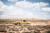 Syd Stelvio Peking to Paris 25 - Day 6 – Tengger Desert Camp to Jiayuguan – 688km