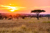 Classic Safari 2027  - Concluding Recce Report 